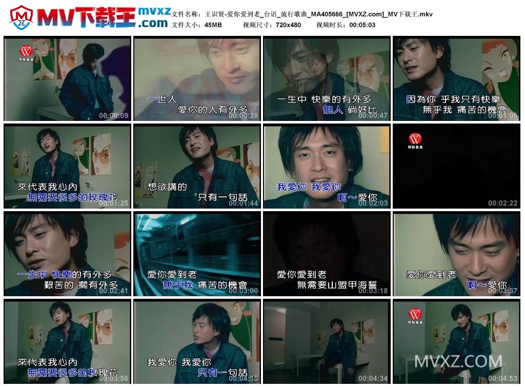 王识贤-爱你爱到老_台语_流行歌曲_MA405666